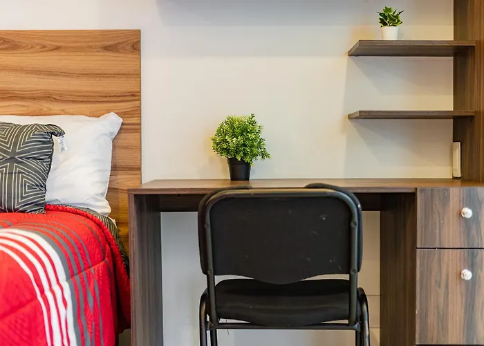 Apartamento The Cozy Corner Near Condesa, Roma And Chapultepec Park